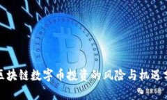 : 区块链数字币投资的风险