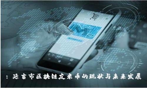 : 延吉市区块链友米币的现状与未来发展